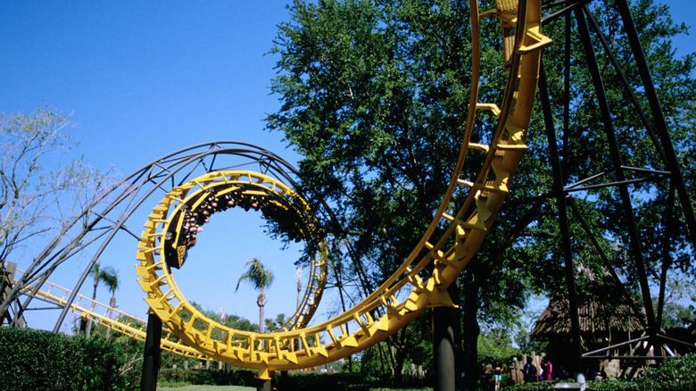 A spiraling yellow roller coaster gives riders a thrill at Busch Gardens amusement and wildlife park in Tampa, Florida.