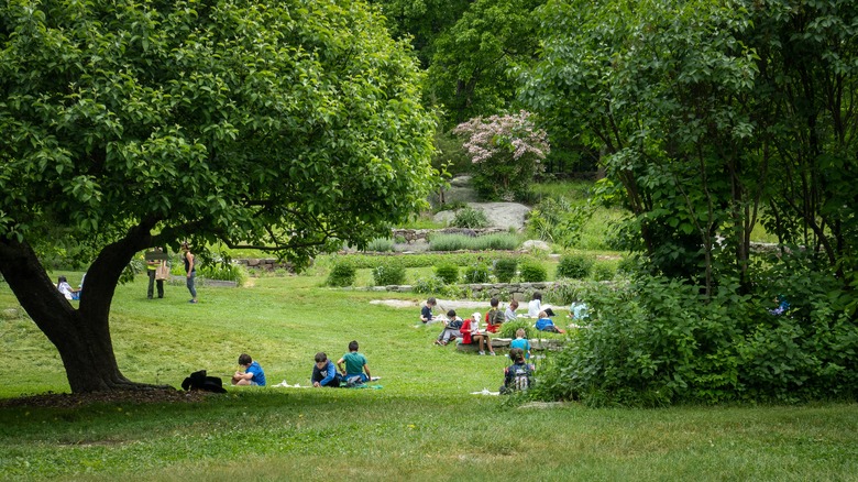 Visitors at Weir Farm National Historical Park create art in a field