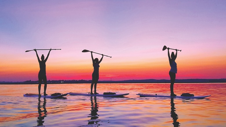People stand up paddle boarding at sunset