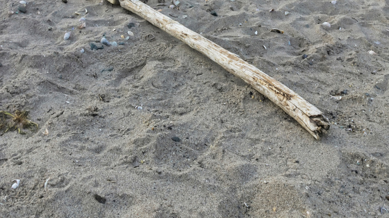 USA flag art on the beach in Milford, Connecticut