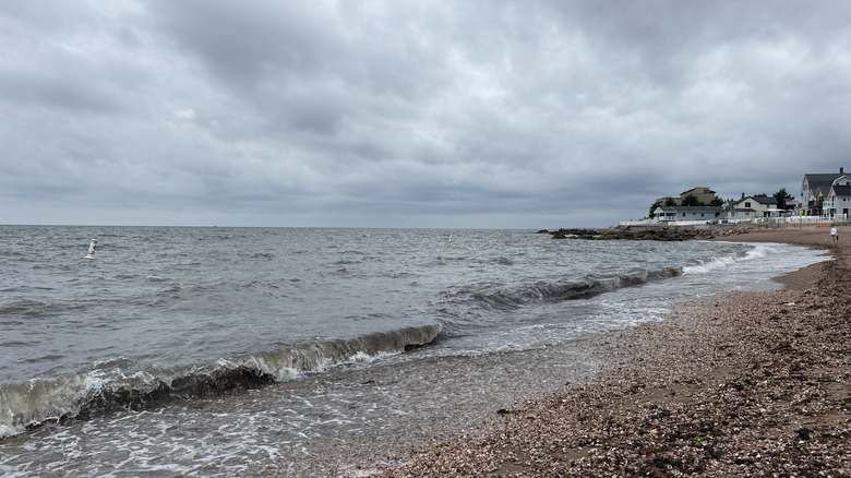 Waves break onto a mound of slipper snail shells on a rainy day at Cosey Beach in East Haven, Connecticut