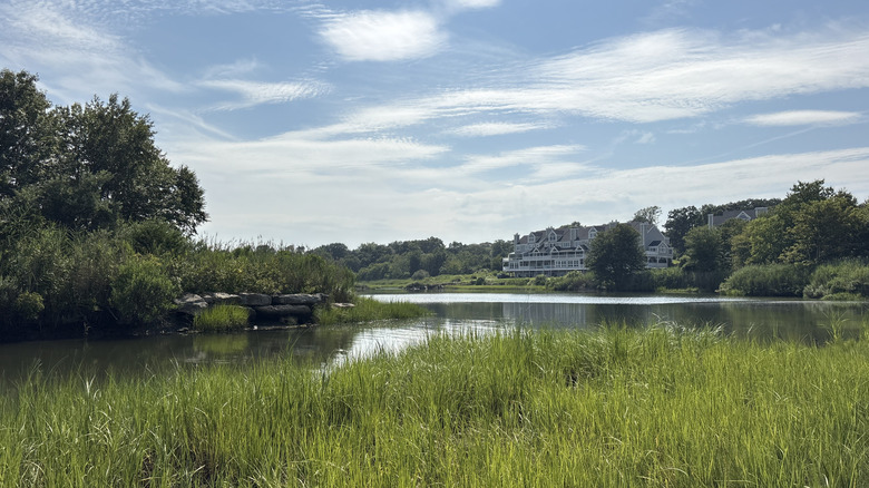 A green salt marsh at Farm River State Park in East Haven, Connecticut
