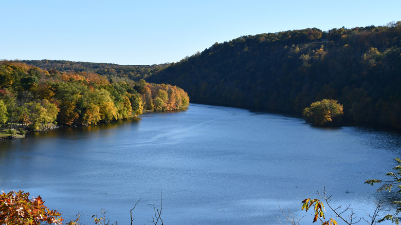 The flat surface of Lake Lillinonah surrounded by tree-covered shorelines on a blue-sky day.