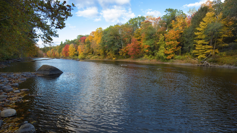 View of the Farmington River when water is low