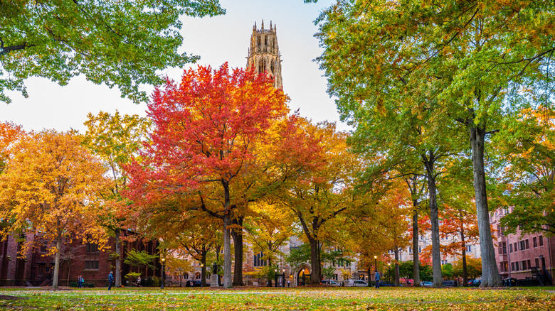 The Old Campus of Yale in autumn