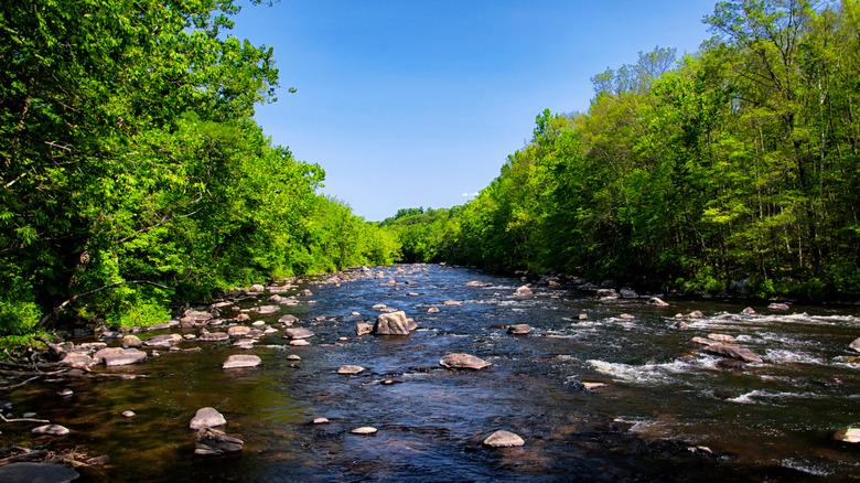 View of the Farmington River in Farmington, Connecticut