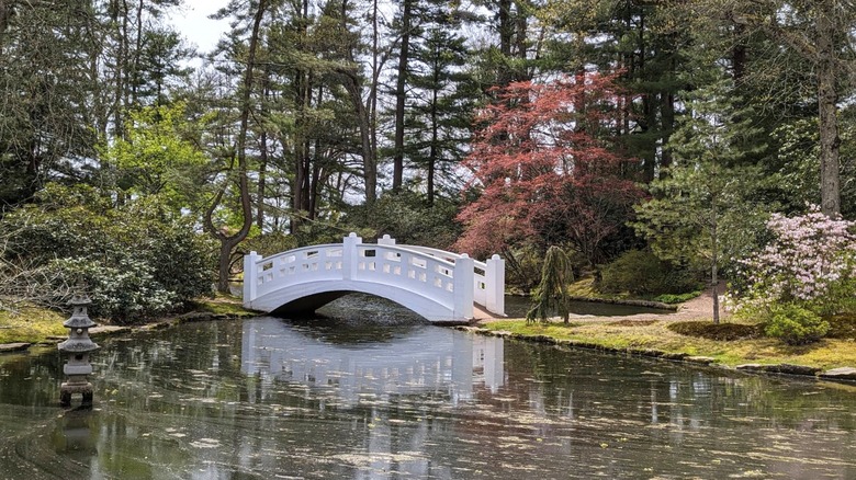A view of the bridge and pond at Wickham Park in East Hartford, Connecticut