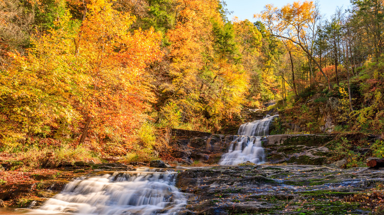 Fall foliage surrounds waterfall in Kent Fall State Park