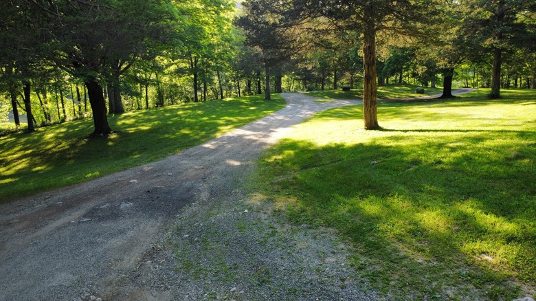 Bridgewater Town Park makes the perfect place for walk or selfie