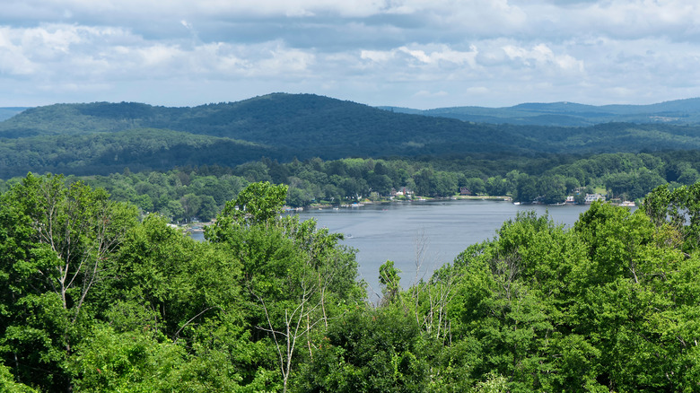view of bantam lake on a cloudy summer day