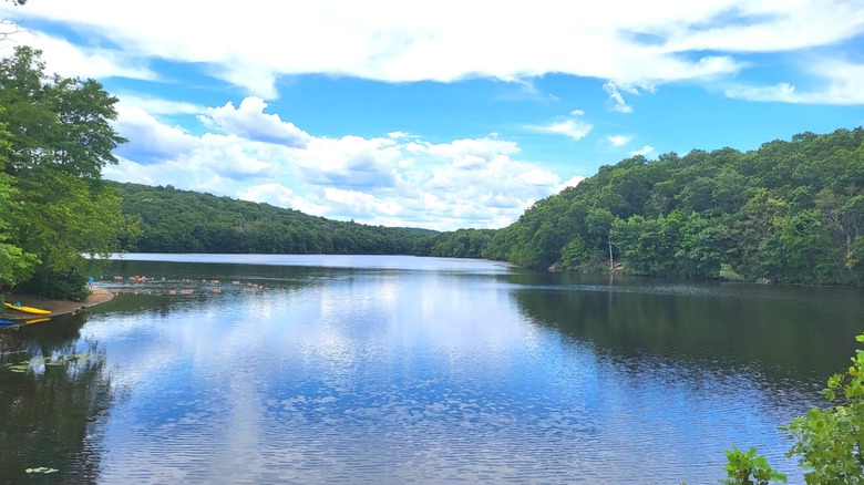 Pattaconk Lake reservoir surrounded by green trees under a blue sky