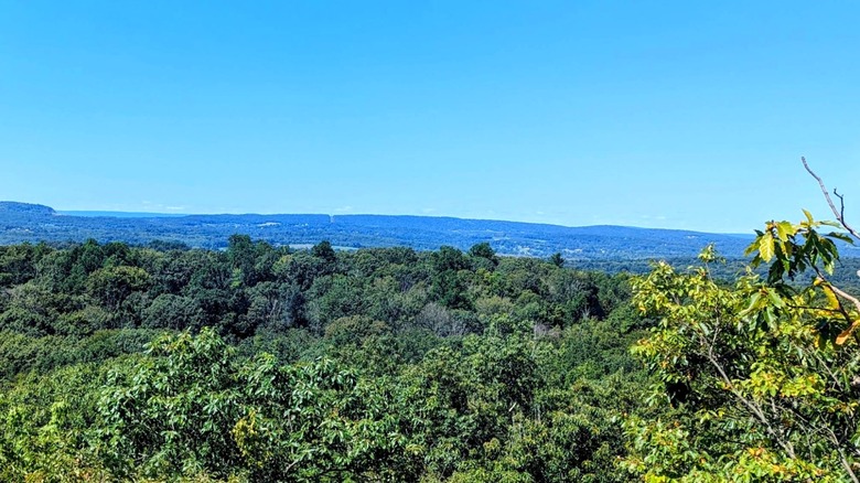 The view in summer from Bear Rock over Cockaponset State Forest in Connecticut