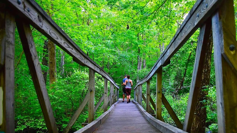 A couple hiking across a wooden bridge in a green section of Cockaponset State Forest