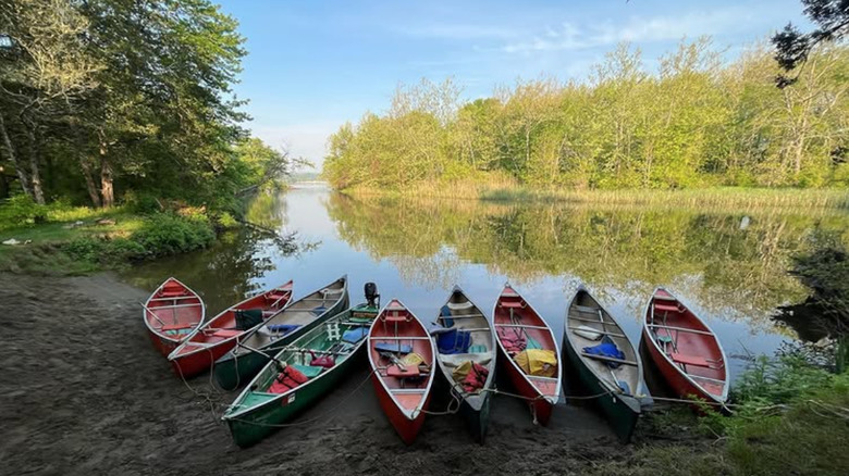 Canoes on the river banks at Selden Neck State Park