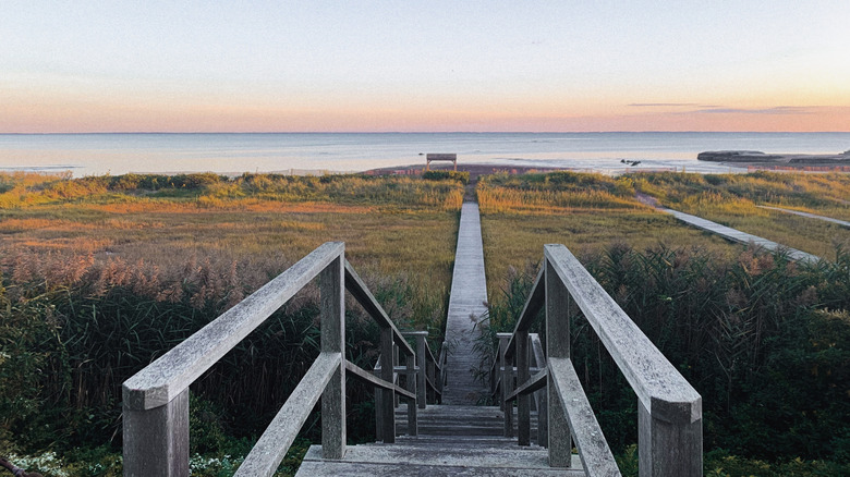 Path leading down to beach at sunset in Madison, Connecticut
