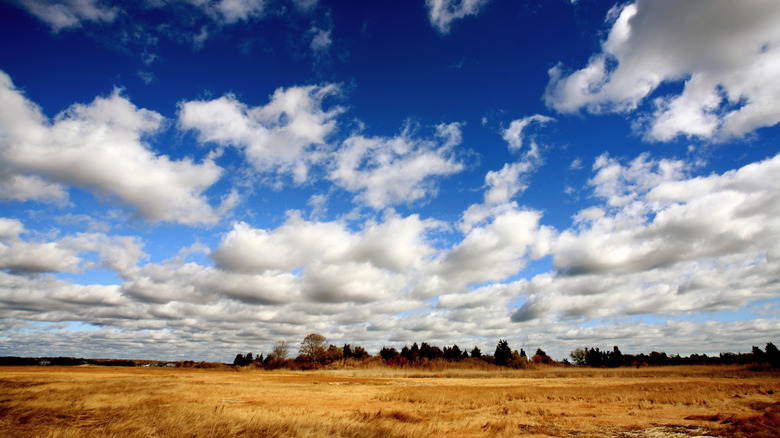 Hammonasset Beach State Park under blue sky and clouds