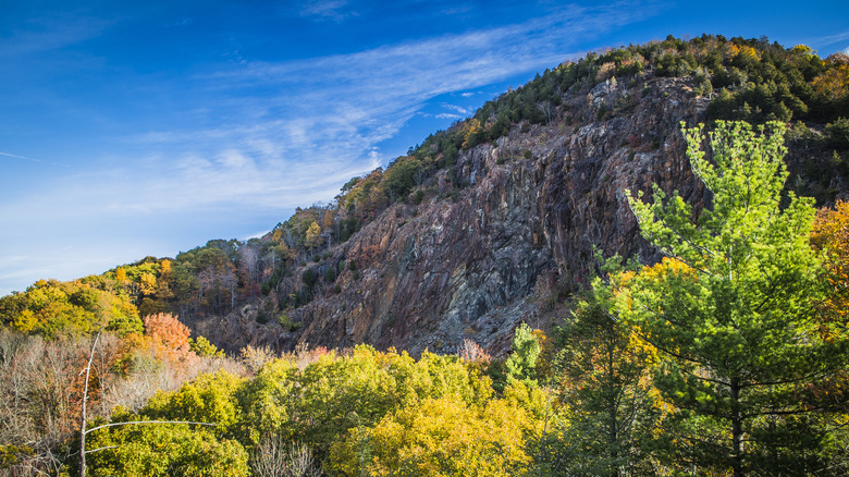 A scenic view of Sleeping Giant State Park, showing trees and a mountain ridge