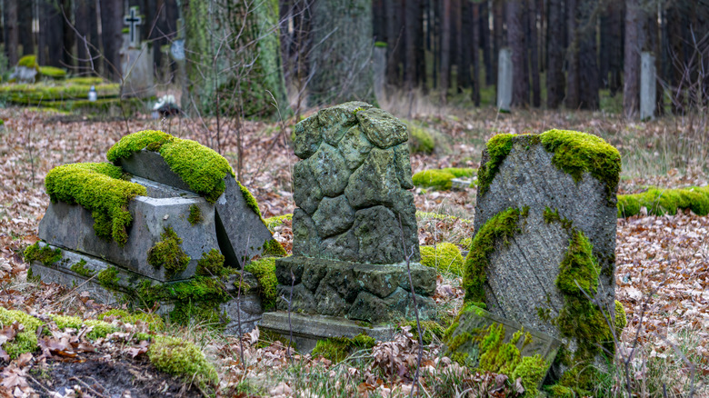 Tombstones abandoned in the woods