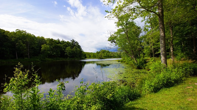 Gay City State Park lake