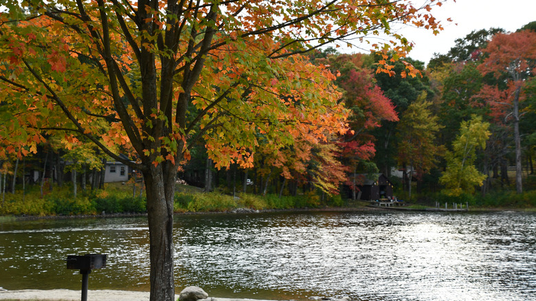 Beach at Mount Tom State Park in Washington, Connecticut
