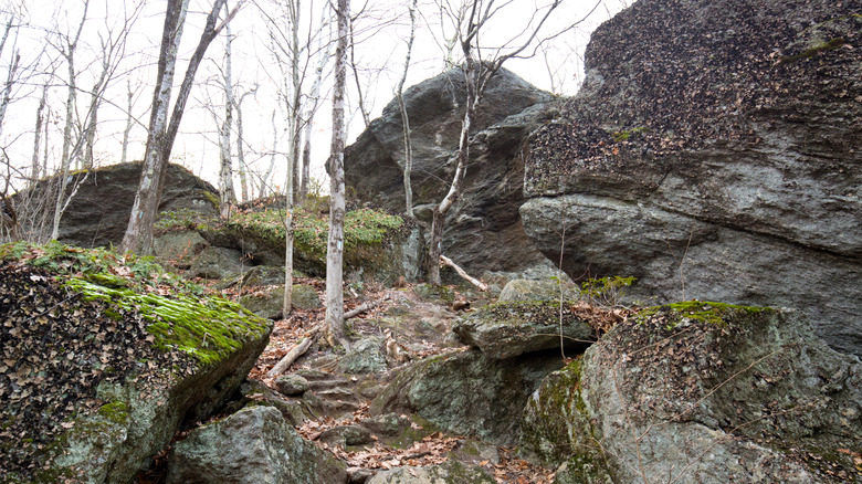 The Indian Council Cave's large glacial boulders located along the Tunxis Trail in Connecticut.