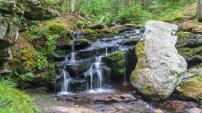 Day Pond Falls in Colchester