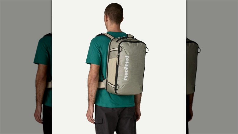 A man wearing the Patagonia Black Hole Mini MLC Pack seen from the back