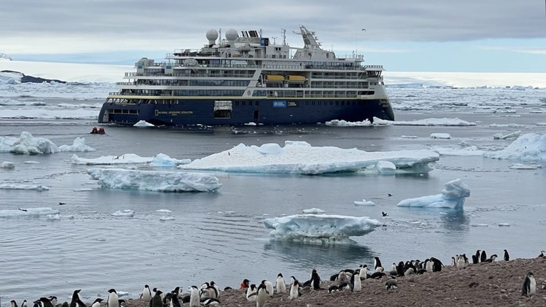 Lindblad/National Geographic ship in icy waters as witnessed by penguins on the shore