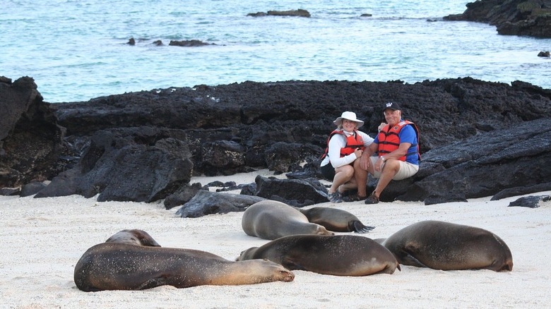 A couple sitting with sea lions on an expedition to the Galapagos Islands