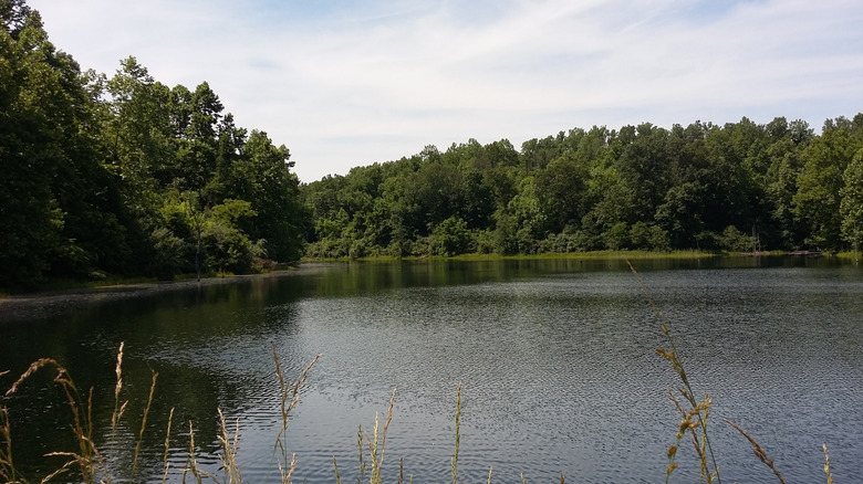 A view of calm Symmes Creek in Cooper Hollow Wildlife Area in Oak Hill, Ohio
