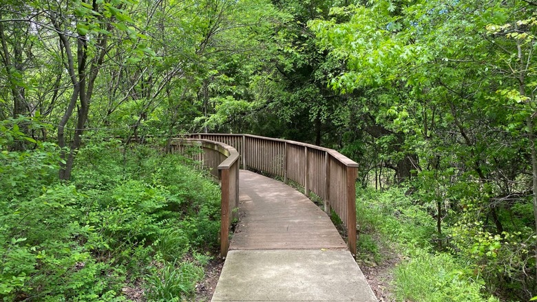 A wooden boardwalk in the forest at Coppell Nature Park