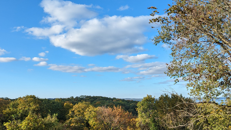 An autumn view across the prairie meadow to the oak woodland