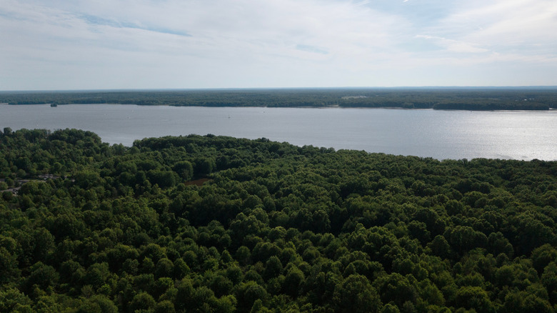 An aerial view of Mosquito Creek Lake