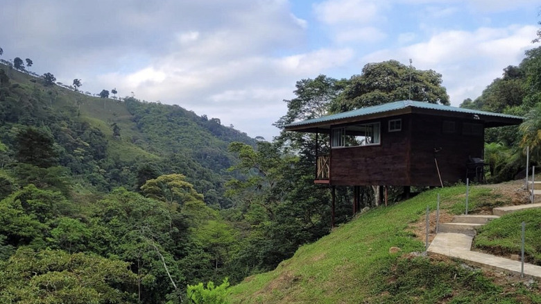 a treehouse cabin at hotel rivel resort in costa rica