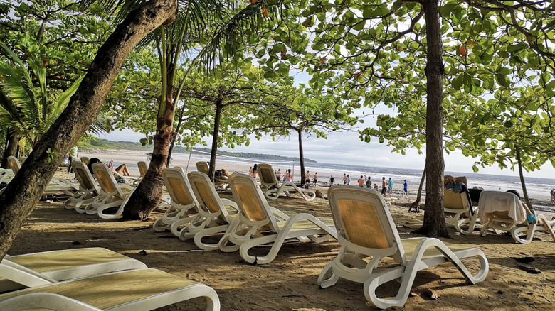 beach area with chaises at occidental tamarindo in costa rica