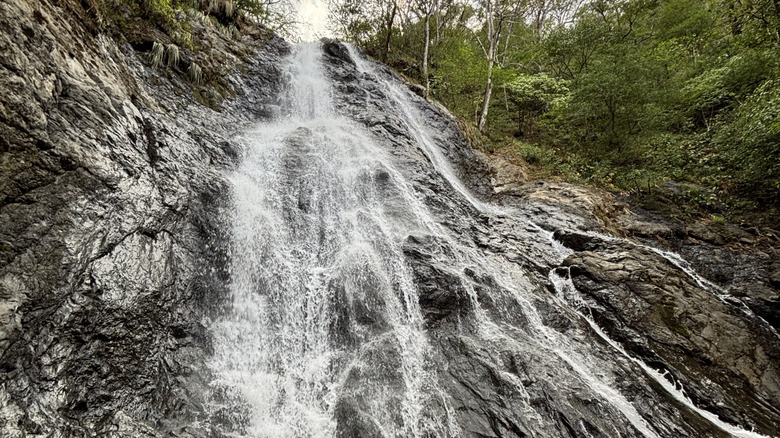 A waterfall in Diria National Park in Costa Rica