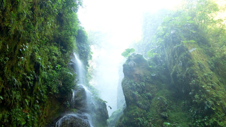 Follow the azure waters of Rio Barroso to Quebrada Gata Waterfalls in Costa Rica