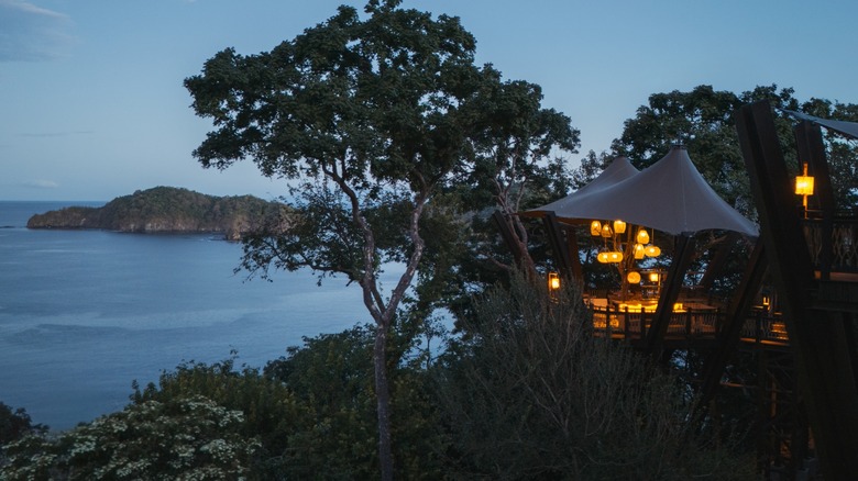 View of AMBAR bar in the trees at Nekajui