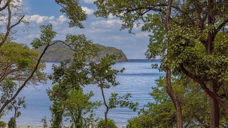 View of the ocean from Nekajui