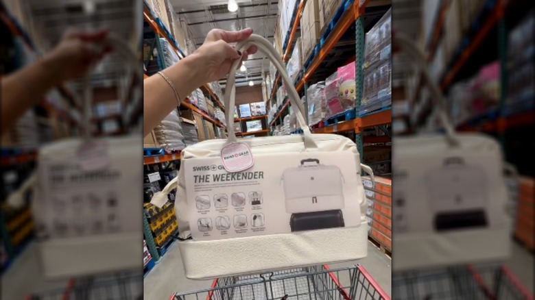 Hand holding up Costco's new travel tote
