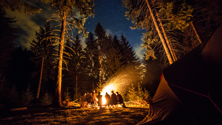 People by a fire camping in the forest
