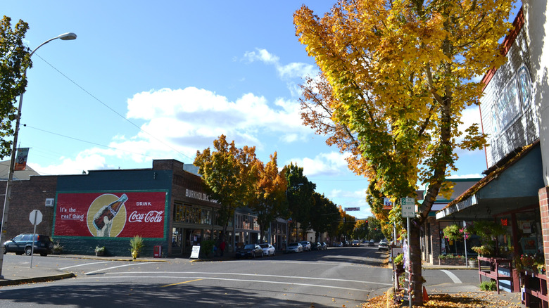 A view of downtown Cottage Grove, Minnesota in the fall