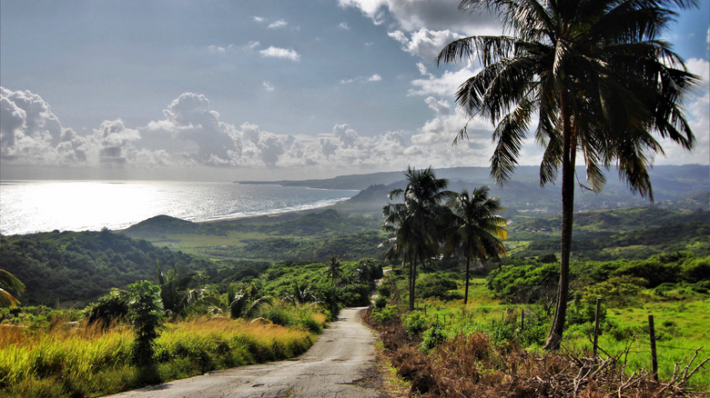 Sunny day in countryside of Barbados