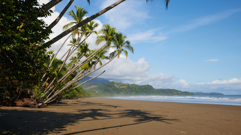 Empty beach on the coast of Costa Rica