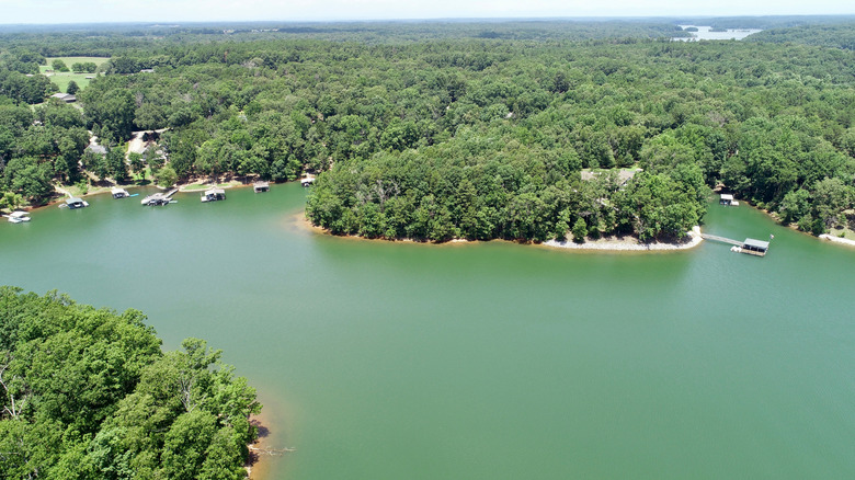 Private docks on the forested shoreline of Lake Hartwell in South Carolina.
