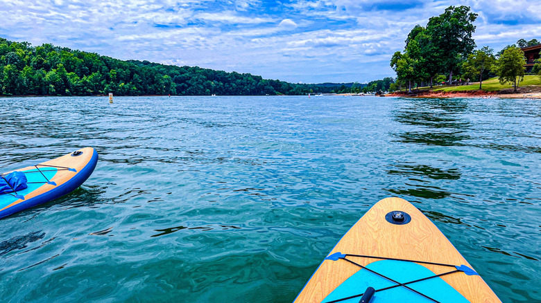 Paddleboards on Lake Hartwell facing a grassy shoreline during summer.