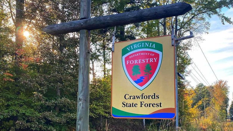 A Crawfords State Forest Virginia department of forestry sign in the woods