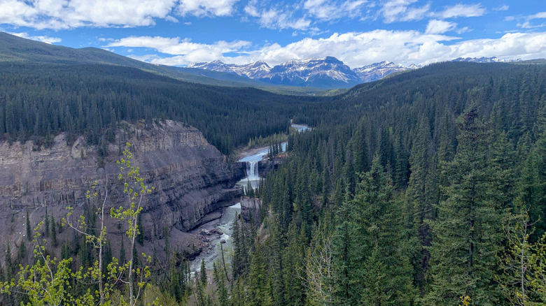 A wide shot of lush forests surrounding the waterfalls