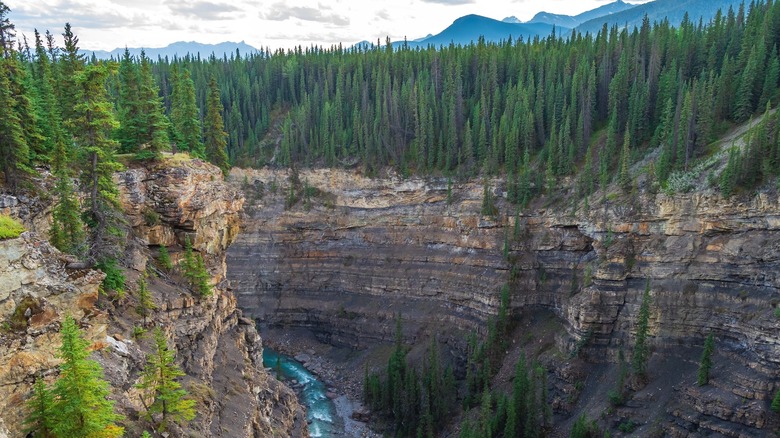 A look down the rocky, tree-lined gorge above the Bighorn River
