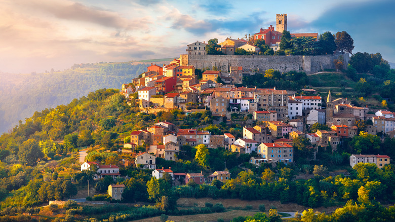 The town of Motovun surrounded by trees in the sunlight